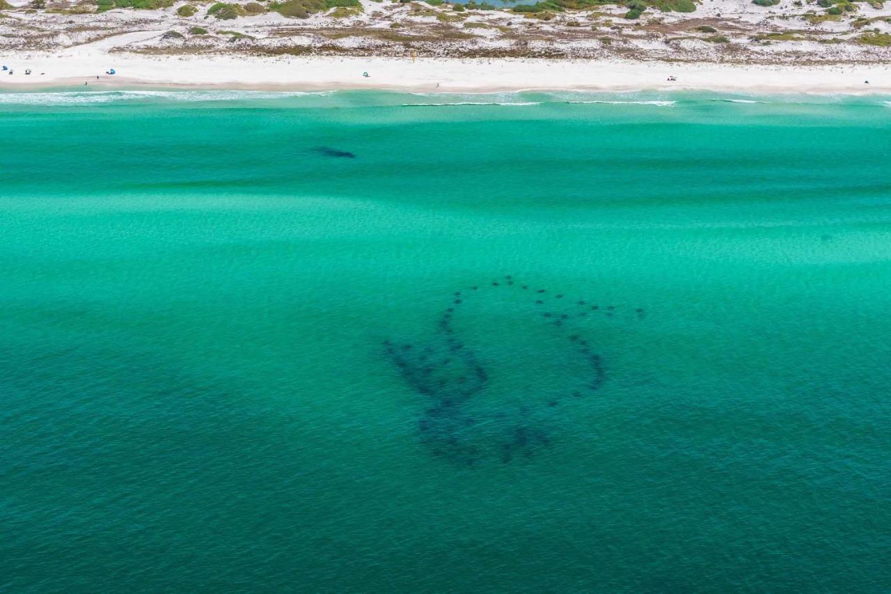 Surfin' Turtle Βίλα Santa Rosa Beach Εξωτερικό φωτογραφία